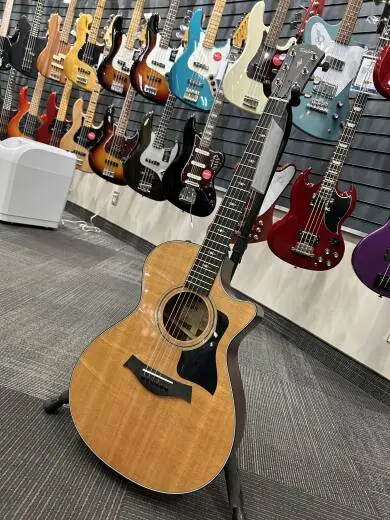 Taylor Guitars - 312CE STD 2